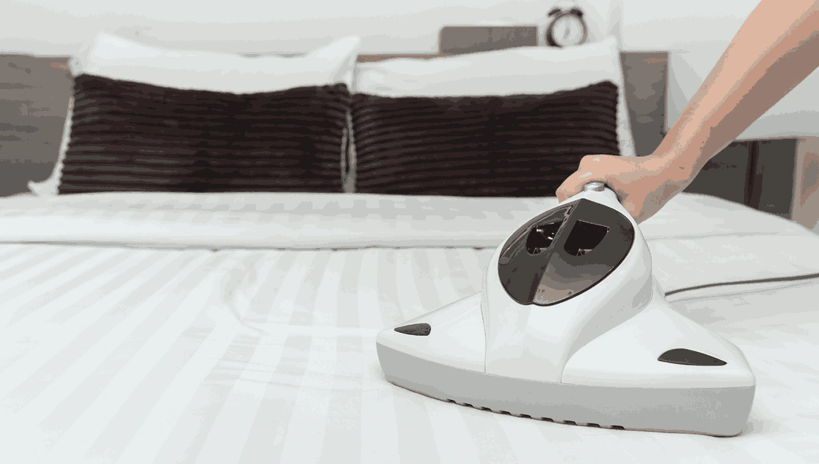 Professional Mattress Cleaning Beaumaris